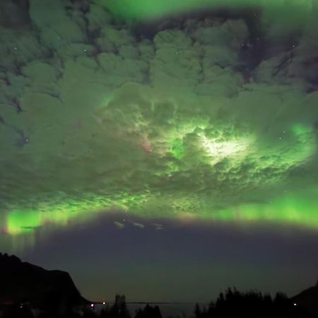 شقة Rystad Midnight Sun And Nature المظهر الخارجي الصورة