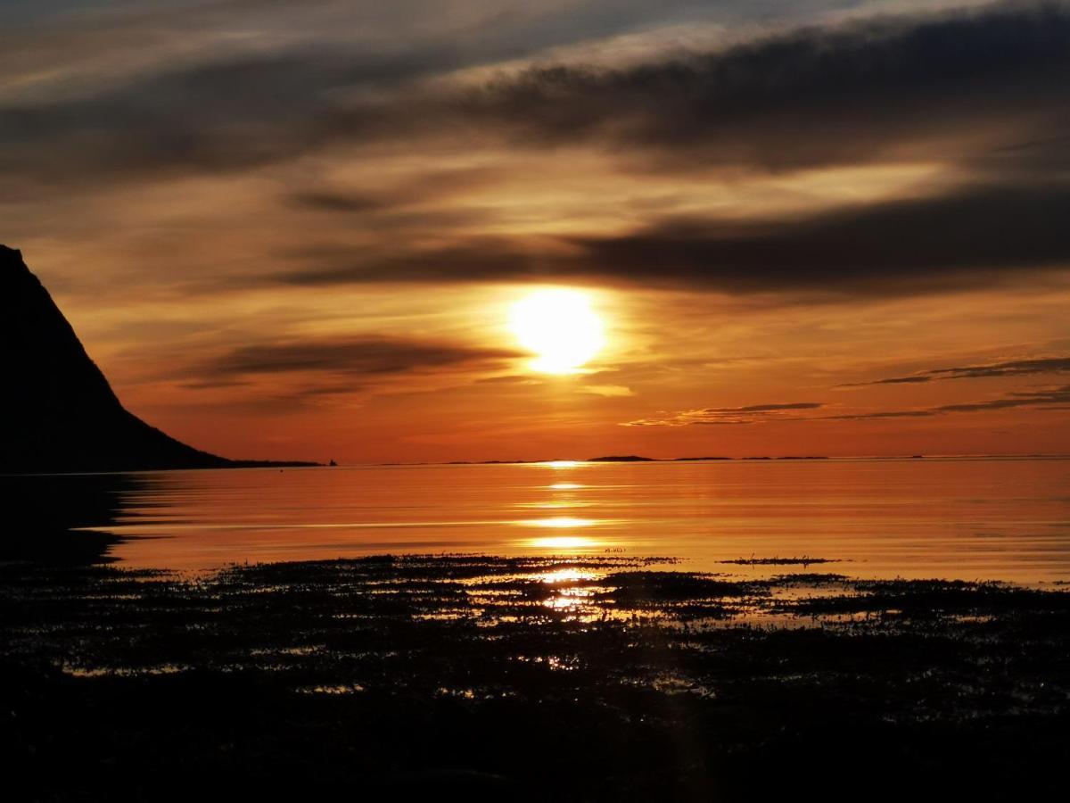 شقة Rystad Midnight Sun And Nature المظهر الخارجي الصورة
